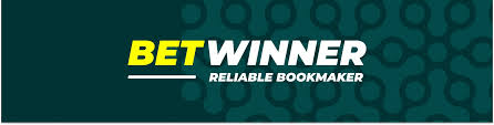 The Exciting Experience of BetWinner Aviator A Guide for Players